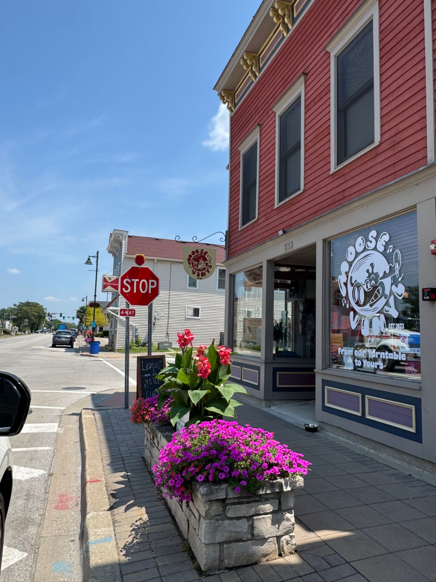 The Moose Vinyl storefront on Main Street in Lemont, IL